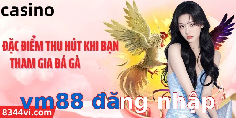vm88 đăng nhập