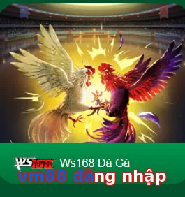 vm88 đăng nhập